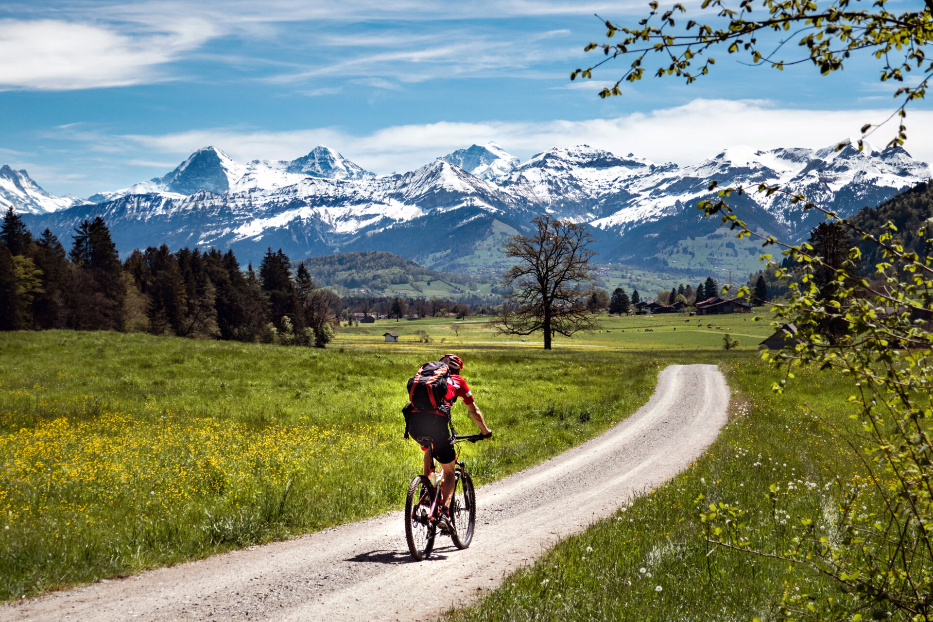 Cicloturismo alla scoperta delle più belle regioni italiane in