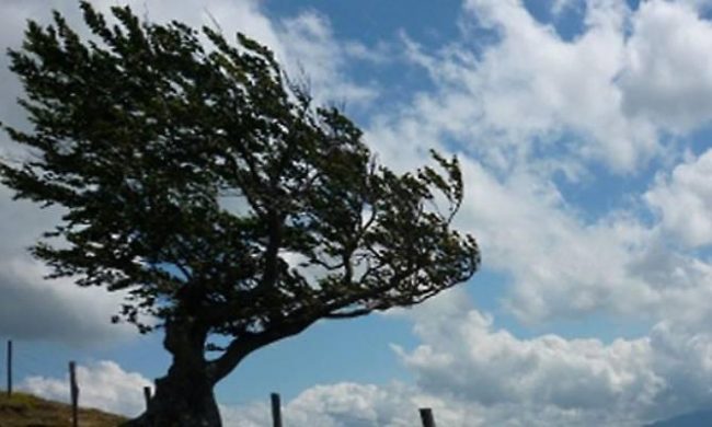 Veneto: il vento forte pulisce l’aria e fa abbassare le temperature