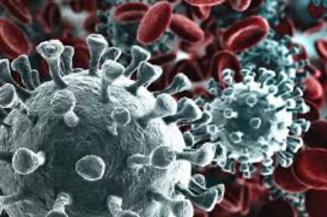 Coronavirus: da Padova un test per scoprirlo in sole 3 ore