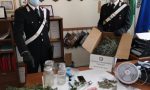 Porto Viro, giovane da fuoco alla marijuana e resta intossicato