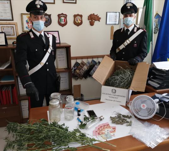 Porto Viro, giovane da fuoco alla marijuana e resta intossicato