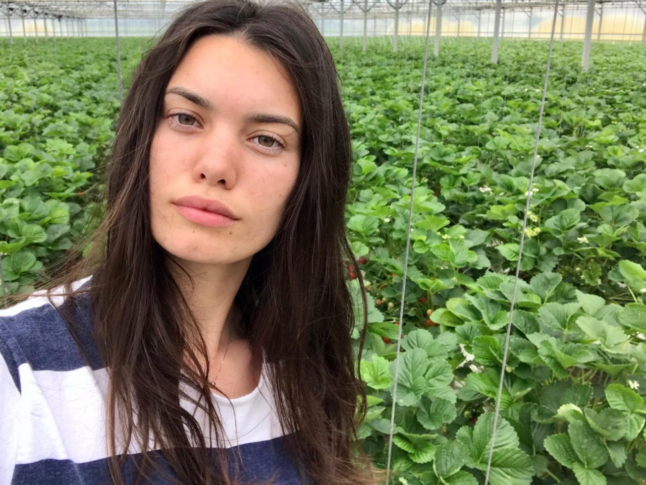 Giovane imprenditrice di Crespino da lavoro a 6 ragazzi rimasti disoccupati
