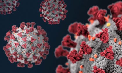 Coronavirus aggiornamenti: il Polesine torna a zero contagi