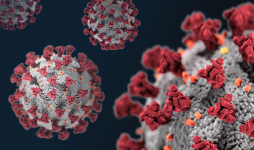 Coronavirus aggiornamenti: il Polesine torna a zero contagi