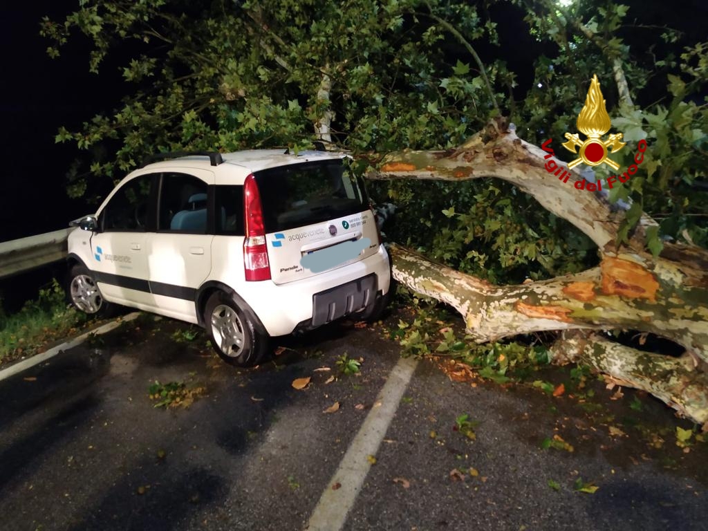 Maltempo a Rovigo: 32 interventi dei Vigili del fuoco stanotte – FOTO