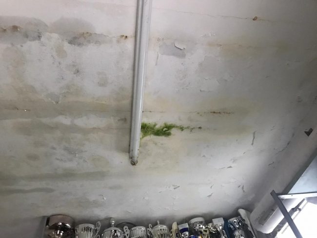 Degrado al Pattinodromo tra furti, infiltrazioni d’acqua e stanze senza impianto elettrico