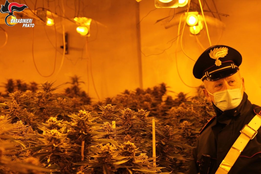 Maxi sequestro di stupefacenti nel Polesine per un valore di mercato stimato in 1.785.000 euro