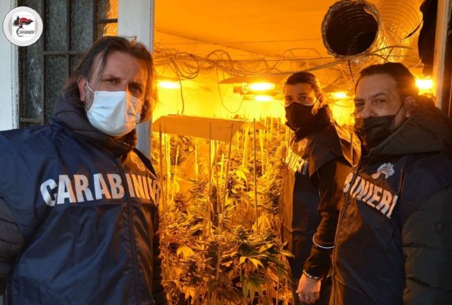Maxi sequestro di droga a Lendinara per un valore medio di mercato stimato in 934.000 euro