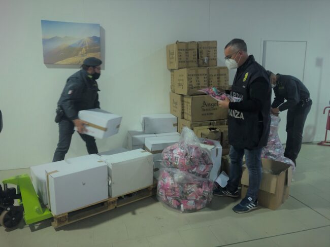 Sequestrati 16mila giocattoli irregolari, un furgone e 120 chili di ricci di mare