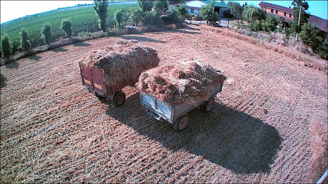 Tutto pronto: torna la storica Sagra del Pane a Loreo