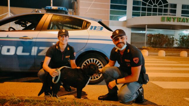 Flash ma anche “passista”: il cucciolo in fuga da quattro giorni aveva percorso circa 50 chilometri
