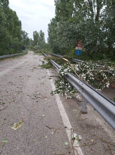 Maltempo Porto Tolle: Zaia avvia lo stato di crisi e di calamità per le attività agricole