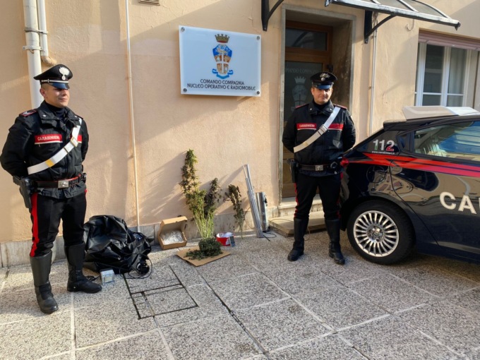 Scoperta una vera e propria “serra” per la coltivazione di marijuana: arrestato 22enne