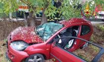 Perde il controllo dell'auto e si schianta contro un albero: la giovane conducente resta intrappolata nell'abitacolo