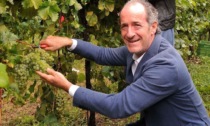 Rapporto Ismea-Qualivita 2021, Zaia: "Agroalimentare settore trainante del made in Veneto"