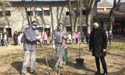 Giornata internazionale delle foreste: piantato un nuovo albero nel giardino per la scuola Donatoni