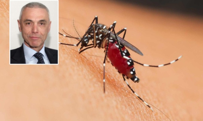 West Nile, il presidente Aifa Palù: “Il vaccino c’è, ma non viene prodotto dalle case farmaceutiche”