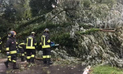 Nubifragi e raffiche di vento in provincia di Rovigo, Zaia dichiara lo stato di emergenza regionale