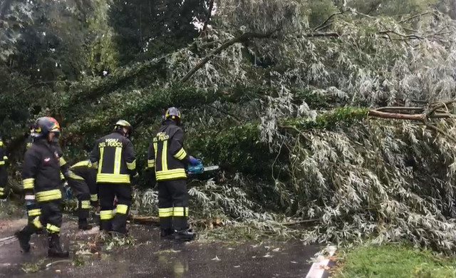 La Bora sconvolge il Polesine: pali abbattuti e alberi sradicati dal vento
