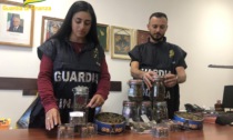 Non solo sigarette, trovato mezzo chilo di marijuana in una tabaccheria di Rovigo