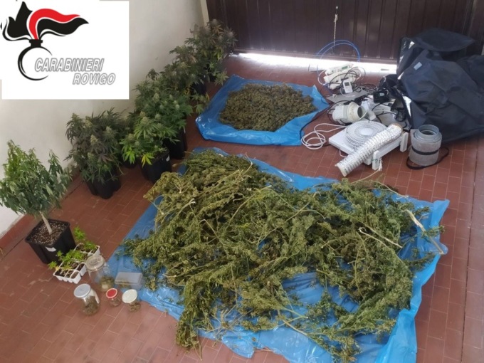 L’auto resta al freddo perché il garage stupefacente è una serra per coltivare marijuana