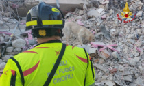 Terremoto in Turchia: i soccorsi arrivano anche da Rovigo