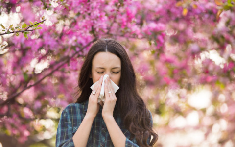 300 allergie analizzate con un solo prelievo del sangue. Il test di ultima generazione arriva a Rovigo