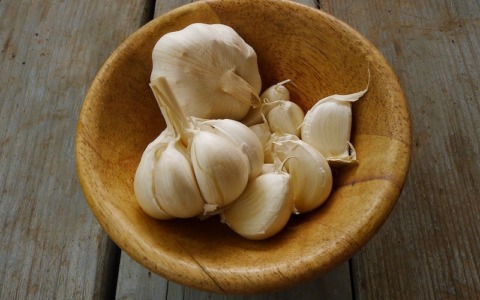 Aglio Bianco Polesano DOP, crescita della produzione con una filiera da 6 milioni di euro