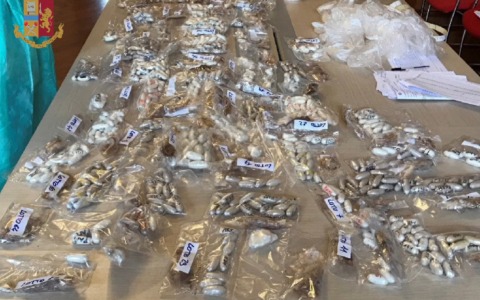 Smantellata maxi rete (nigeriana) di traffico e spaccio di droga nel Nord Italia: tra loro un 32enne domiciliato a Polesella