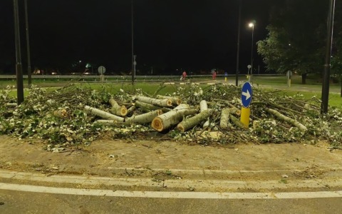 Grandine e vento forte a Rovigo: le immagini del violento nubifragio