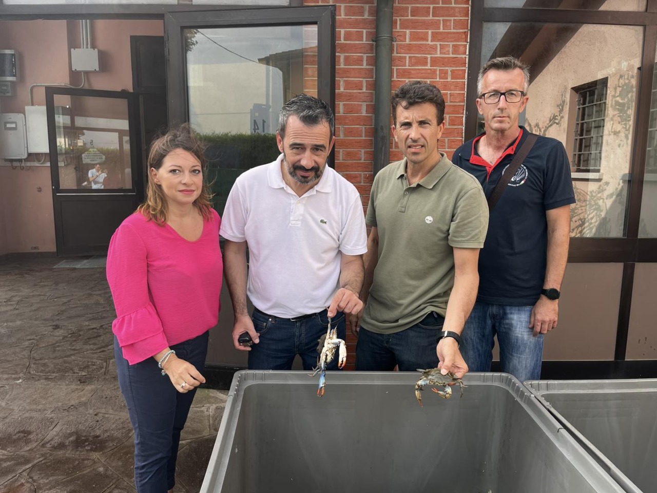 Granchio blu, una minaccia per le vongole del Delta: assessore Corazzari “Situazione drammatica”