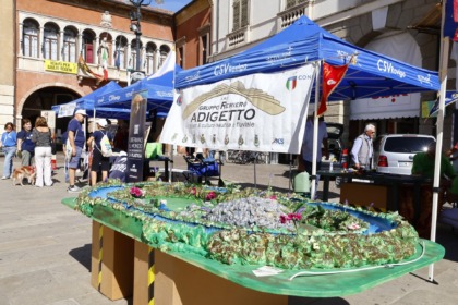 Solidaria, la solidarietà riempie le piazze di Rovigo