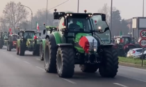 Protesta degli agricoltori davanti alla Fiera di Rovigo, corteo di oltre 500 trattori
