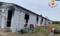 Incendio in un allevamento a Roverdicrè: morti 200 maiali, un dipendente intossicato