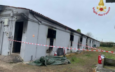 Incendio in un allevamento a Roverdicrè: morti 200 maiali, un dipendente intossicato