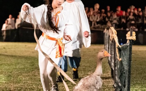 Cosa fare a Rovigo e provincia nel weekend: gli eventi di sabato 1 e domenica 2 giugno 2024