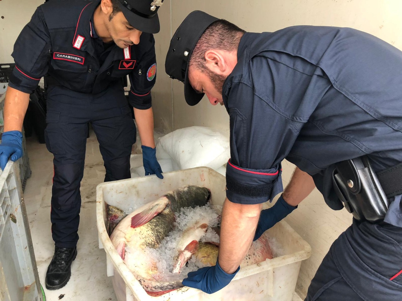 Duro colpo al bracconaggio ittico