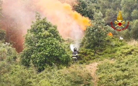 Incendio alla pineta di Porto Caleri …ma è solo un’esercitazione