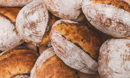 Pane e panettieri d'Italia 2025, ecco i panifici rodigini nella guida di Gambero Rosso