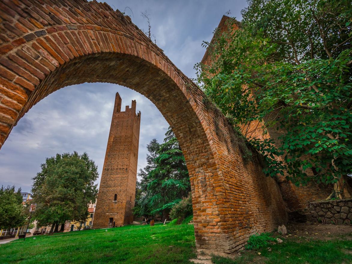 Cosa fare a Rovigo e provincia nel weekend: gli eventi di sabato 15 e domenica 16 giugno 2024