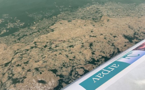Dopo il granchio blu, una nuova minaccia per i pescatori: la mucillagine invade le coste di Po della Pila
