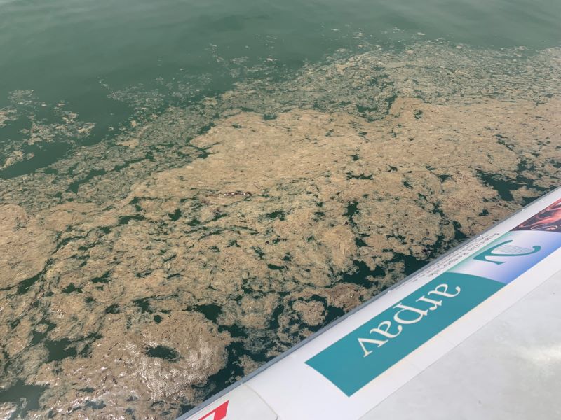 Dopo il granchio blu, una nuova minaccia per i pescatori: la mucillagine invade le coste di Po della Pila