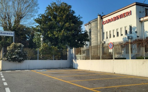 Trasforma la sua casa in una serra per coltivare cannabis, sequestrate 27 piante che gli avrebbero fruttato 500mila euro