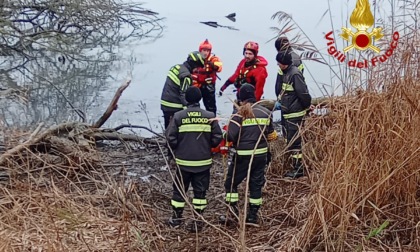 Avvistato da un pescatore il cadavere di un anziano alla foce del Po di Goro