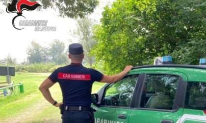 Agricoltore di Rovigo avvelenava le nutrie con il liquido per radiatori