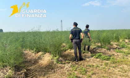 Un anno di indagini per smascherare i caporali: sei denunce a Porto Viro