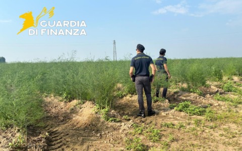 Un anno di indagini per smascherare i caporali: sei denunce a Porto Viro