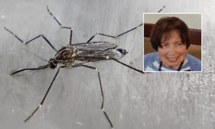 Prima vittima del West Nile in Veneto: è un’anziana 81enne di Castelmassa
