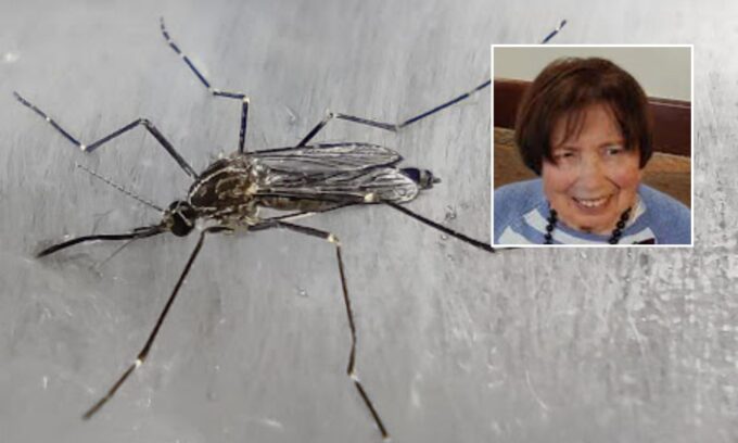 Prima vittima del West Nile in Veneto: è un’anziana 81enne di Castelmassa