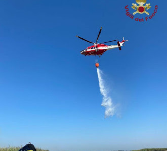 Incendio nel Parco naturale del Delta del Po